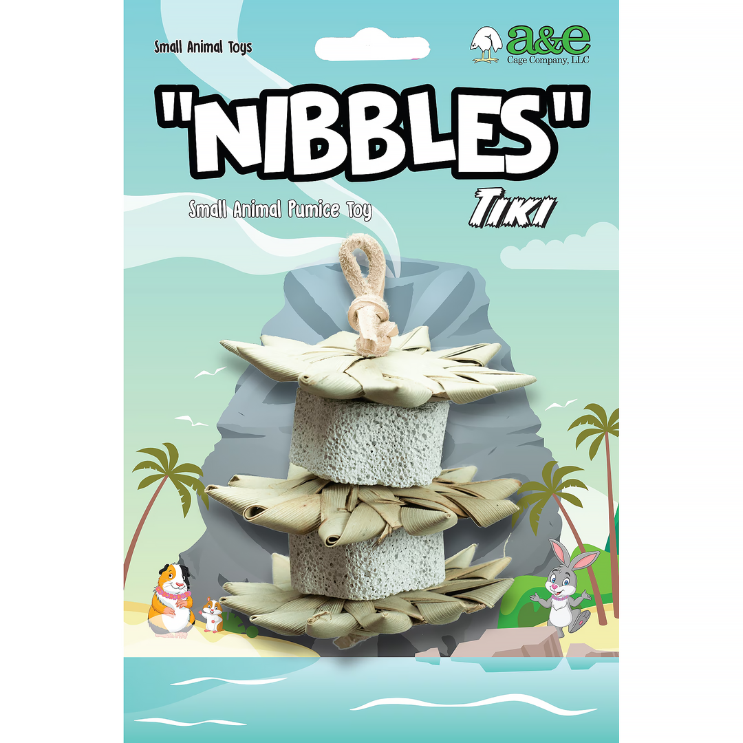 A&E Cage Company Nibbles S'Mores Pumice Palm Stacks - Chew Bird Toy #NB065
