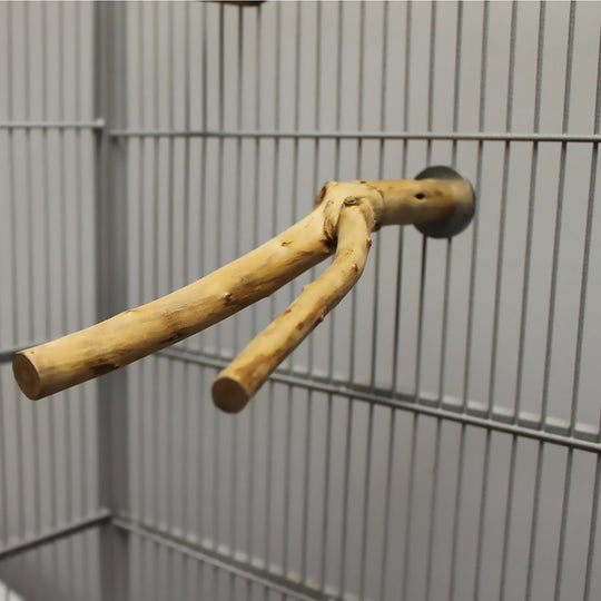 Exotic Nutrition Natural Branch Forked - Real Wood Y-Shaped Bird Perch