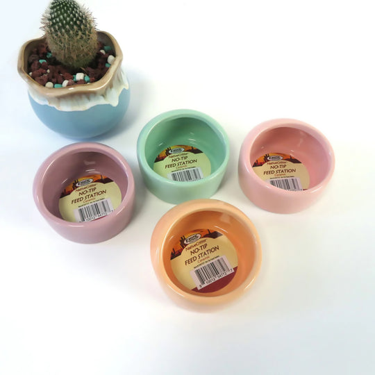 Exotic Nutrition NativeCritter No-Tip Ceramic Feeding Station - Assorted Colors