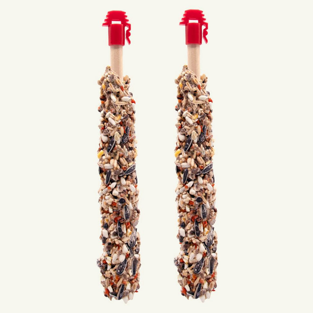 Higgins Sunburst Gourmet Treat Stick for Conures & Cockatiels Nuts & Raisins - 2 pack - 4.9oz
