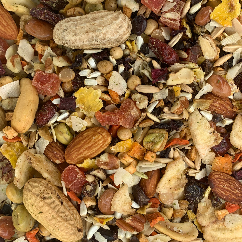 Goldenfeast Paradise Treat Mix Parrot & Macaw - 3lb
