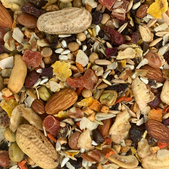 Goldenfeast Paradise Treat Mix Parrot & Macaw - 3lb