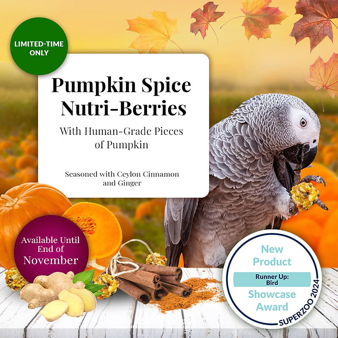 Lafeber's Pumpkin Spice Nutri-Berries for Parrots - 10oz