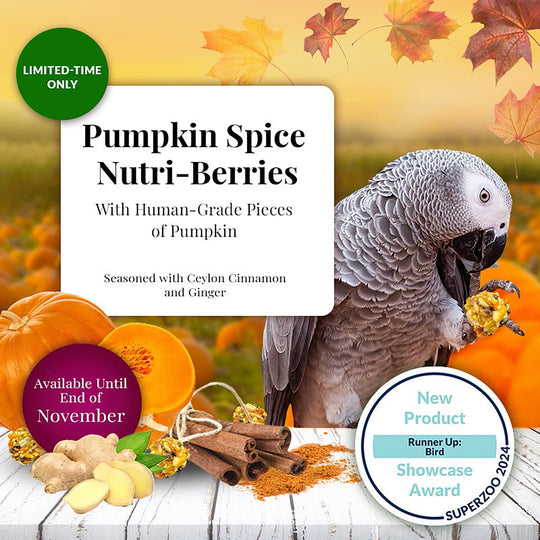 Lafeber's Pumpkin Spice Nutri-Berries for Parrots - 10oz