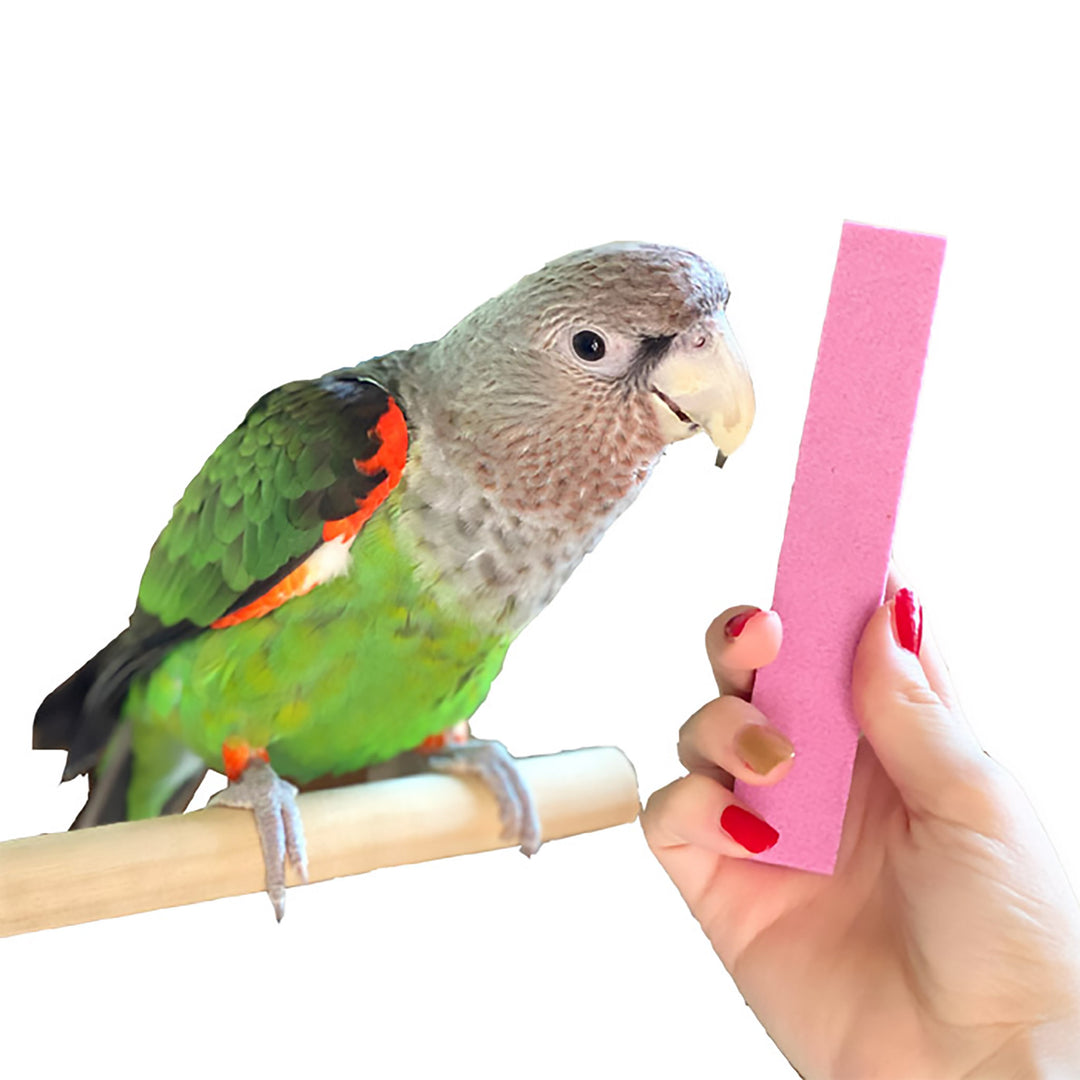 Parrot Wizard Parrot Nail Trimmer Stone - Nail File for Birds