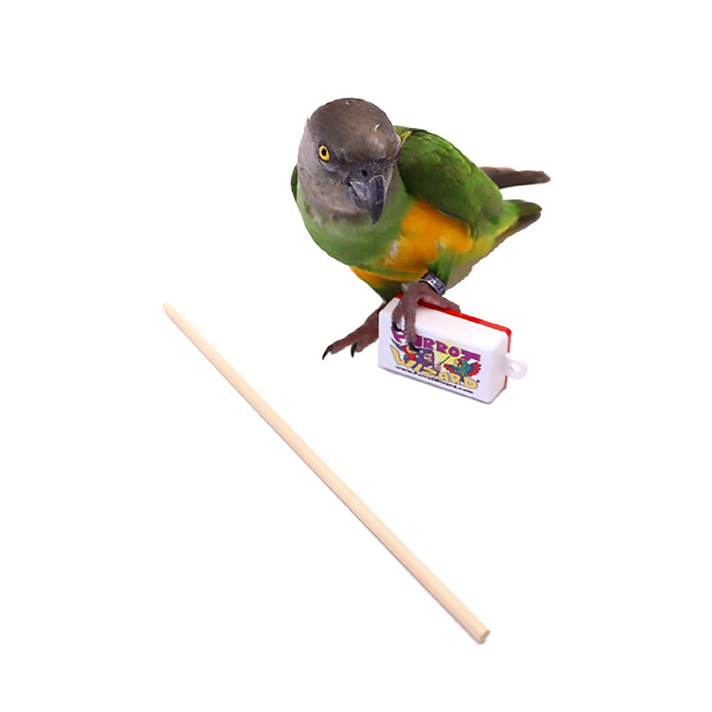 Parrot Wizard Clicker & Target Stick