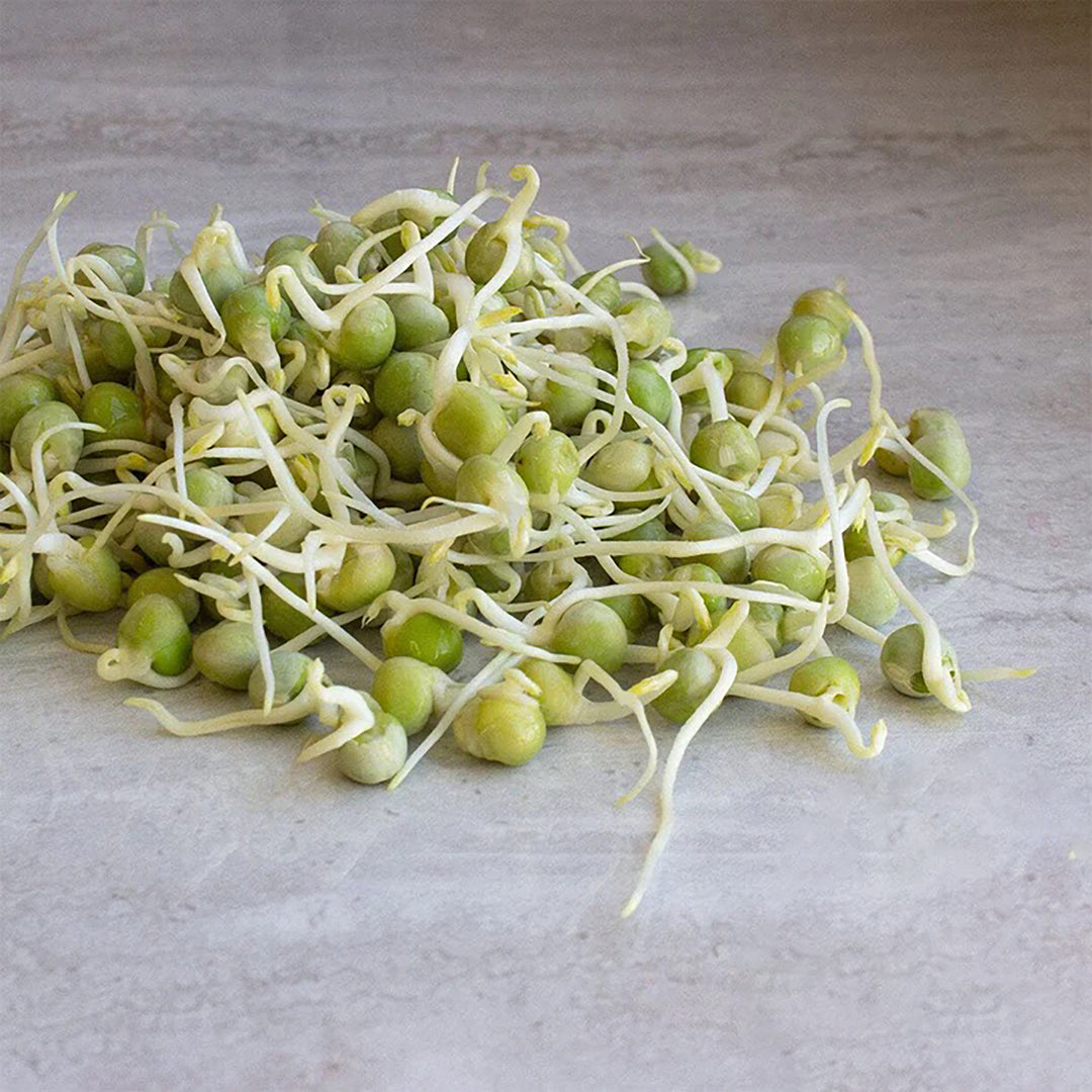 Handy Pantry Sprouting Seeds Green Pea Organic - 8oz