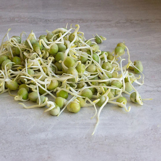 Handy Pantry Sprouting Seeds Green Pea Organic - 8oz