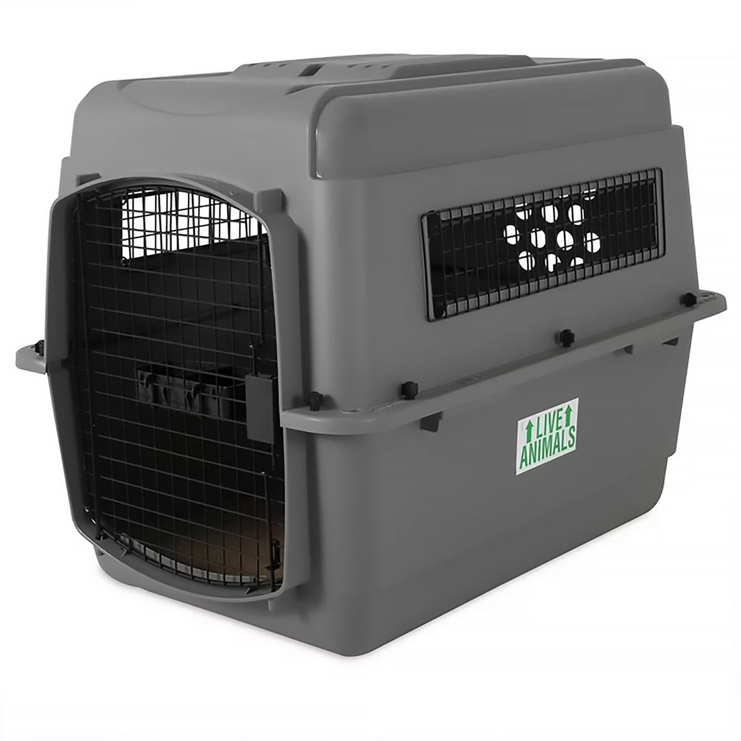 Petmate Sky Kennel Medium - 32" x 23" - IATA Compliant Hard-Sided Bird Travel Carrier