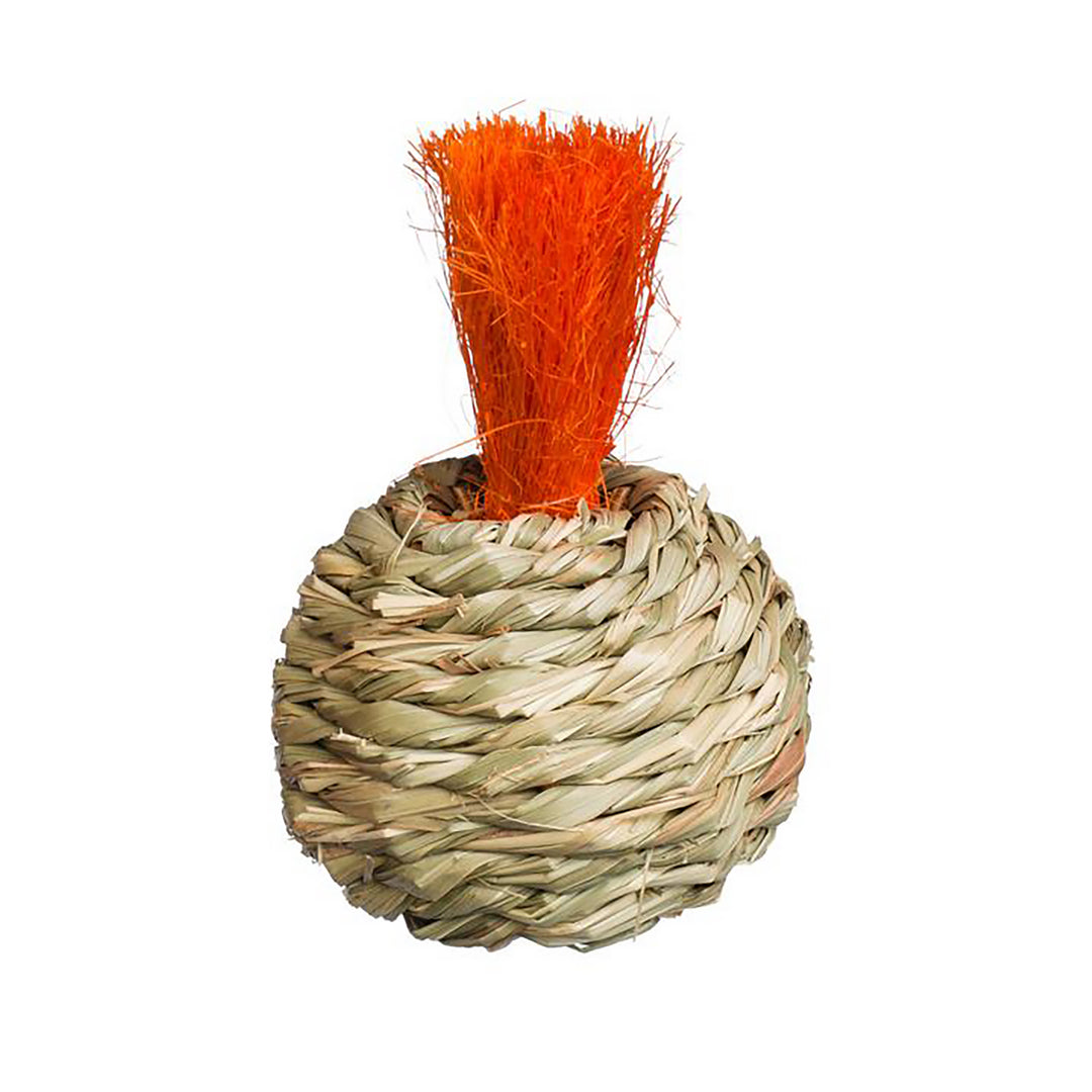 Prevue Pet Products Grassy Nibbler Squash - Chew Bird Toy #1080