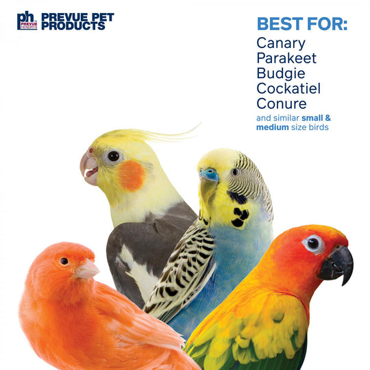 Prevue Pet Products Bodacious Bites Chow Bird Toy - Hard Chew Parrot Toy #60942