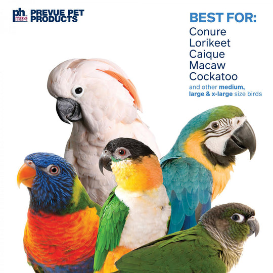 Prevue Pet Products Bodacious Bites Tower Bird Toy - Large Chew Parrot Toy #60960