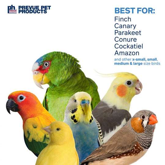 Prevue Pet Products Playfuls Short Stack Bird Toy - Shred & Chew Parrot Toy #62605