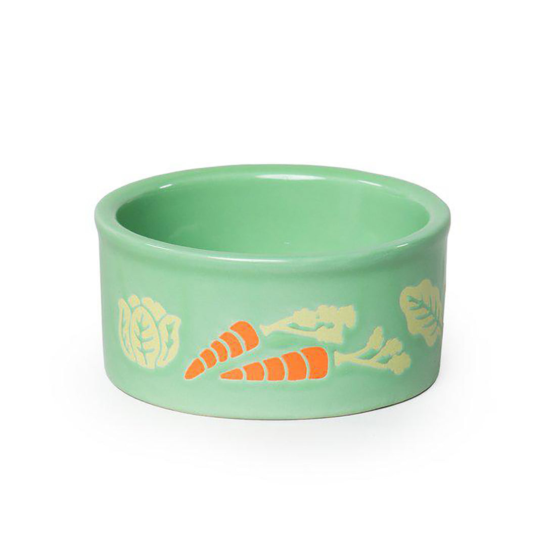 Prevue Pet Products Ceramic Veggies Dish - Spare Food Bowl #3820