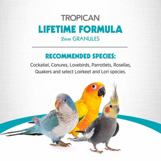 Hagen HARI Tropican Lifetime Formula for Parrots 2mm Granules - 4lb