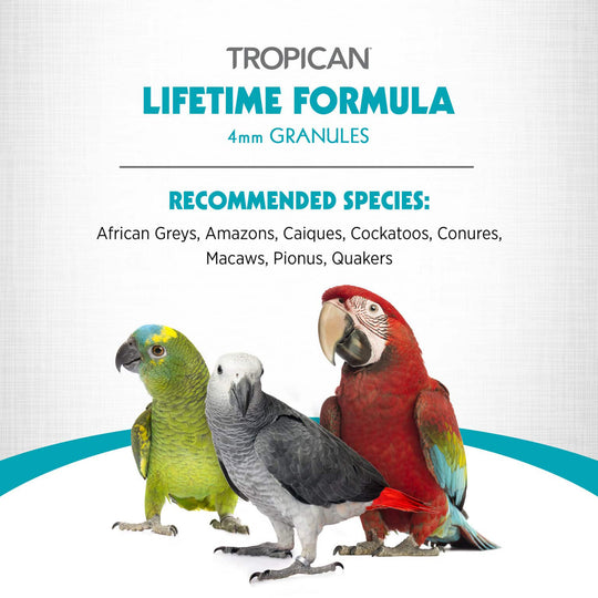 Hagen HARI Tropican Lifetime Formula for Parrots 4mm Granules - 4lb