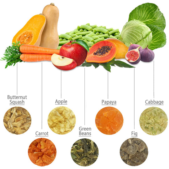 Exotic Nutrition ZooPro Garden Fresh Re-Hydrate Fruit & Vegetable Blend - 10oz