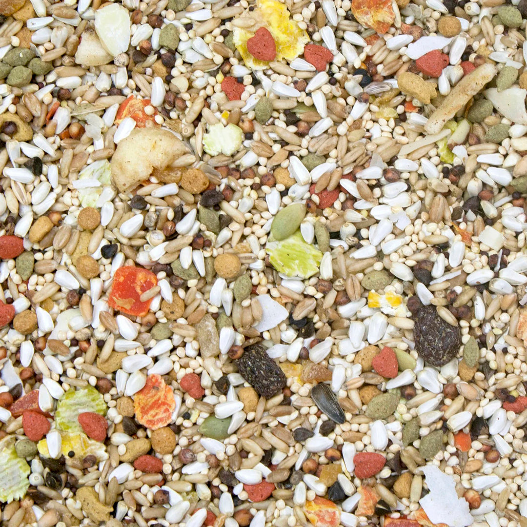 Higgins Safflower Gold - Conure & Cockatiel - 3lb