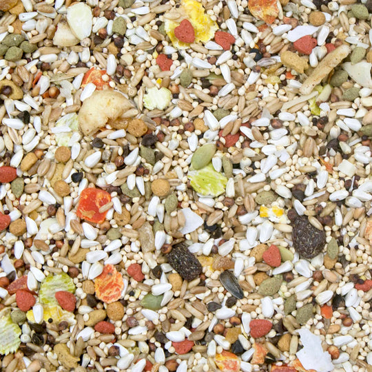 Higgins Safflower Gold - Conure & Cockatiel - 3lb