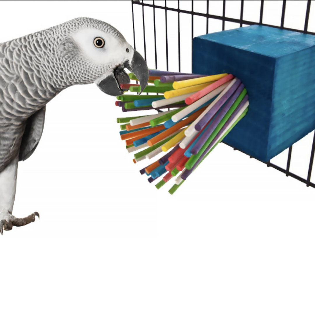 Super Bird Creations XL Paper Party - Foot & Chew Bird Toy