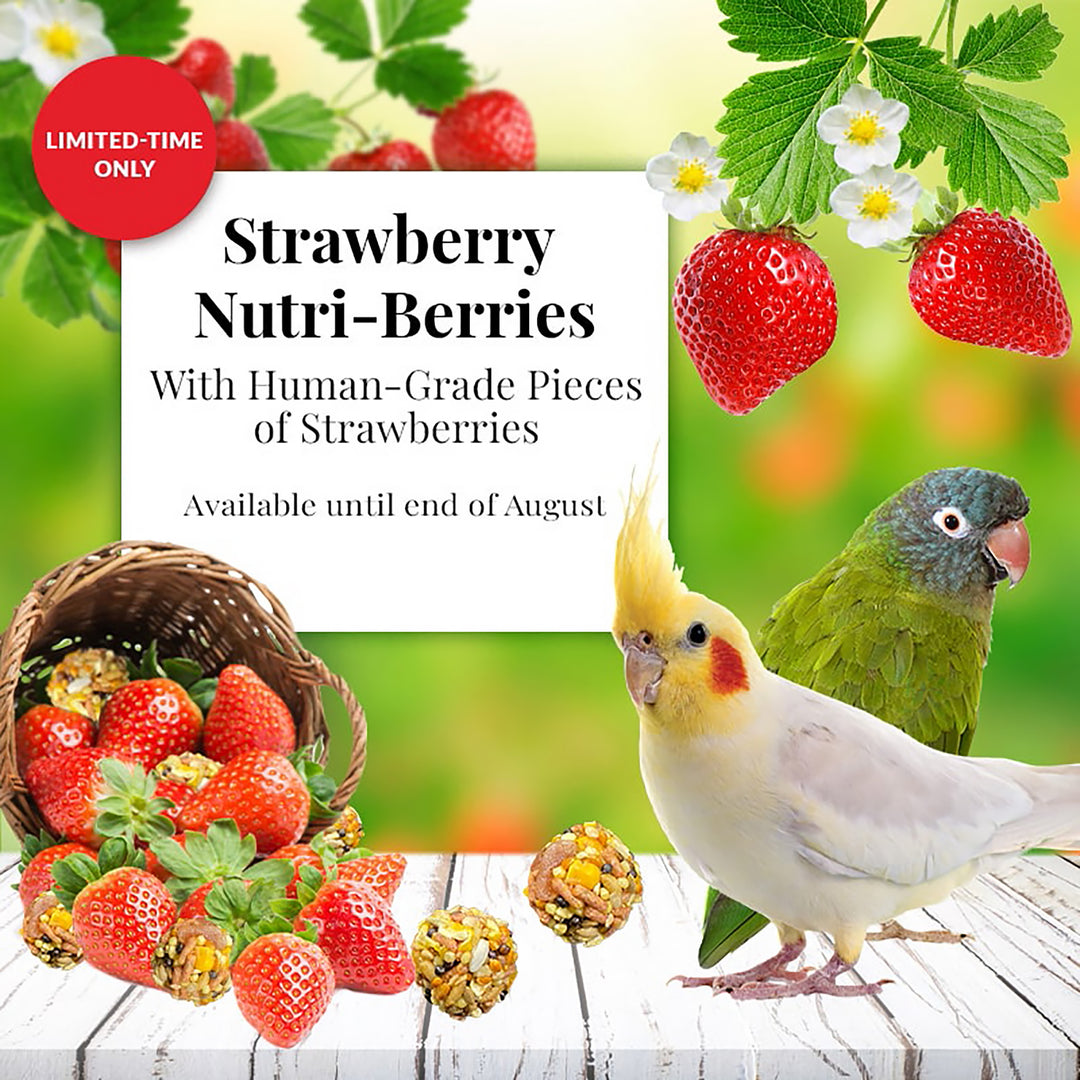 Lafeber's Strawberry Nutri-Berries for Small Birds - 10oz