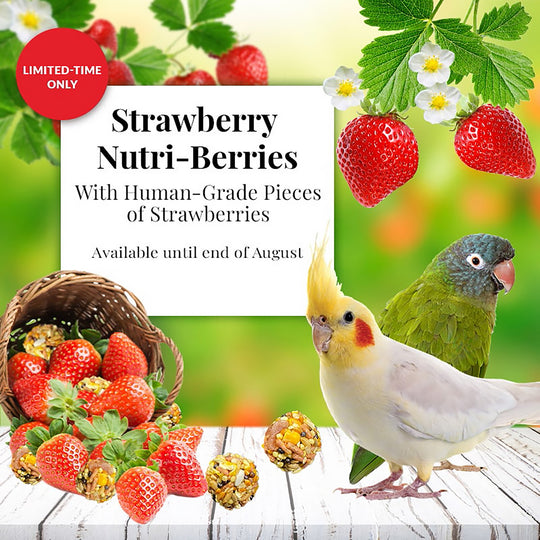 Lafeber's Strawberry Nutri-Berries for Small Birds - 10oz