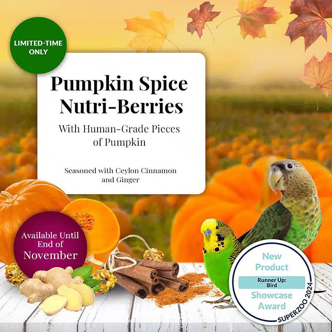 Lafeber's Pumpkin Spice Nutri-Berries for Small Birds - 10oz