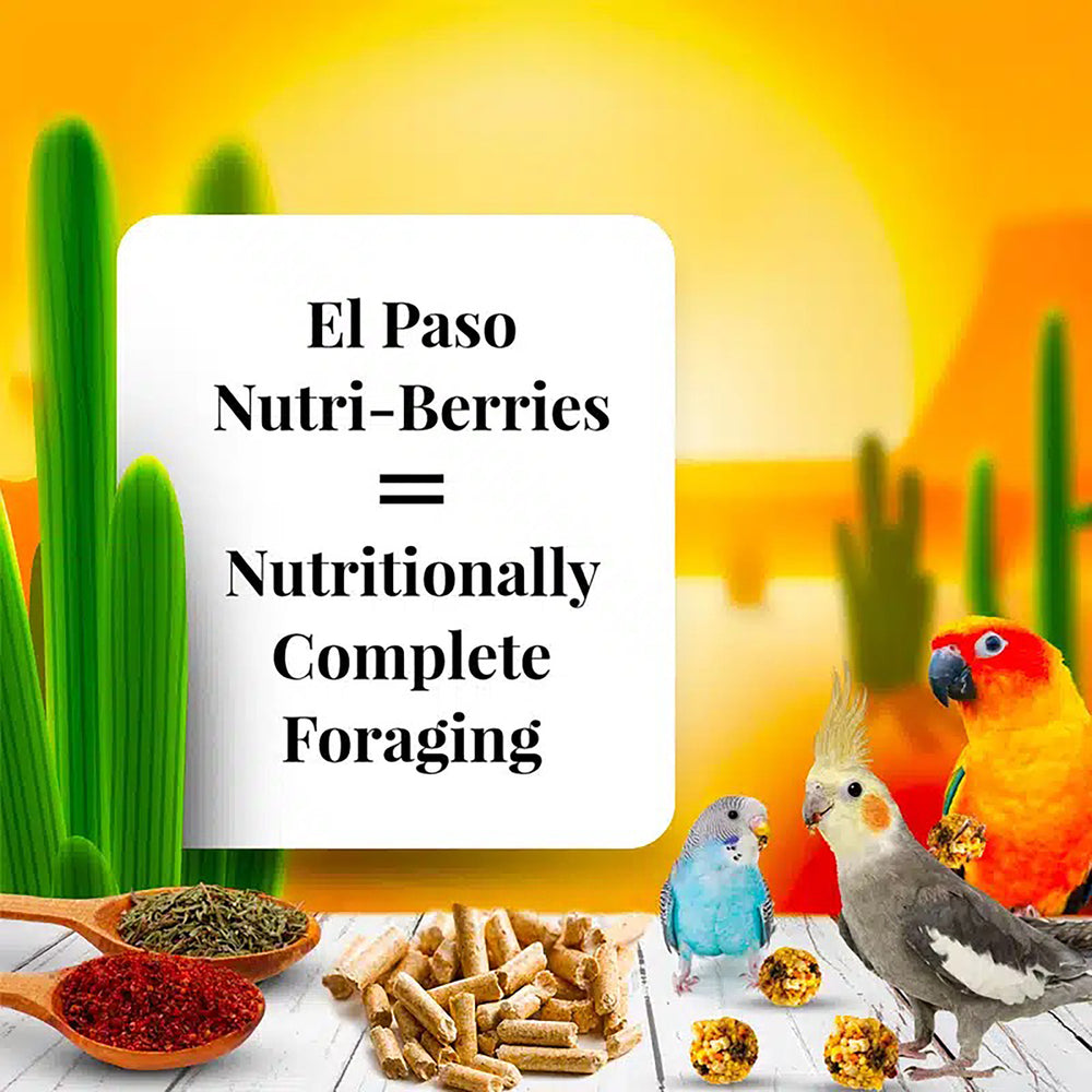 Lafeber's El Paso Nutri-Berries for Small Birds - 10oz