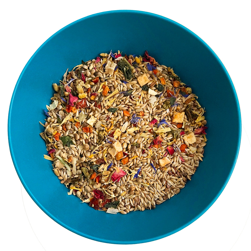 #1002 Aria Nature's Enrichment High-Variety Seed Blend for Small Parrots - 3lb