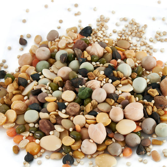 Aria Nature's Enrichment Soak & Sprout Blend - Dry Ingredients - Parrot Food Mix