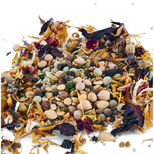 Aria Nature's Enrichment Soak & Sprout Blend - Dry Ingredients - Parrot Food Mix