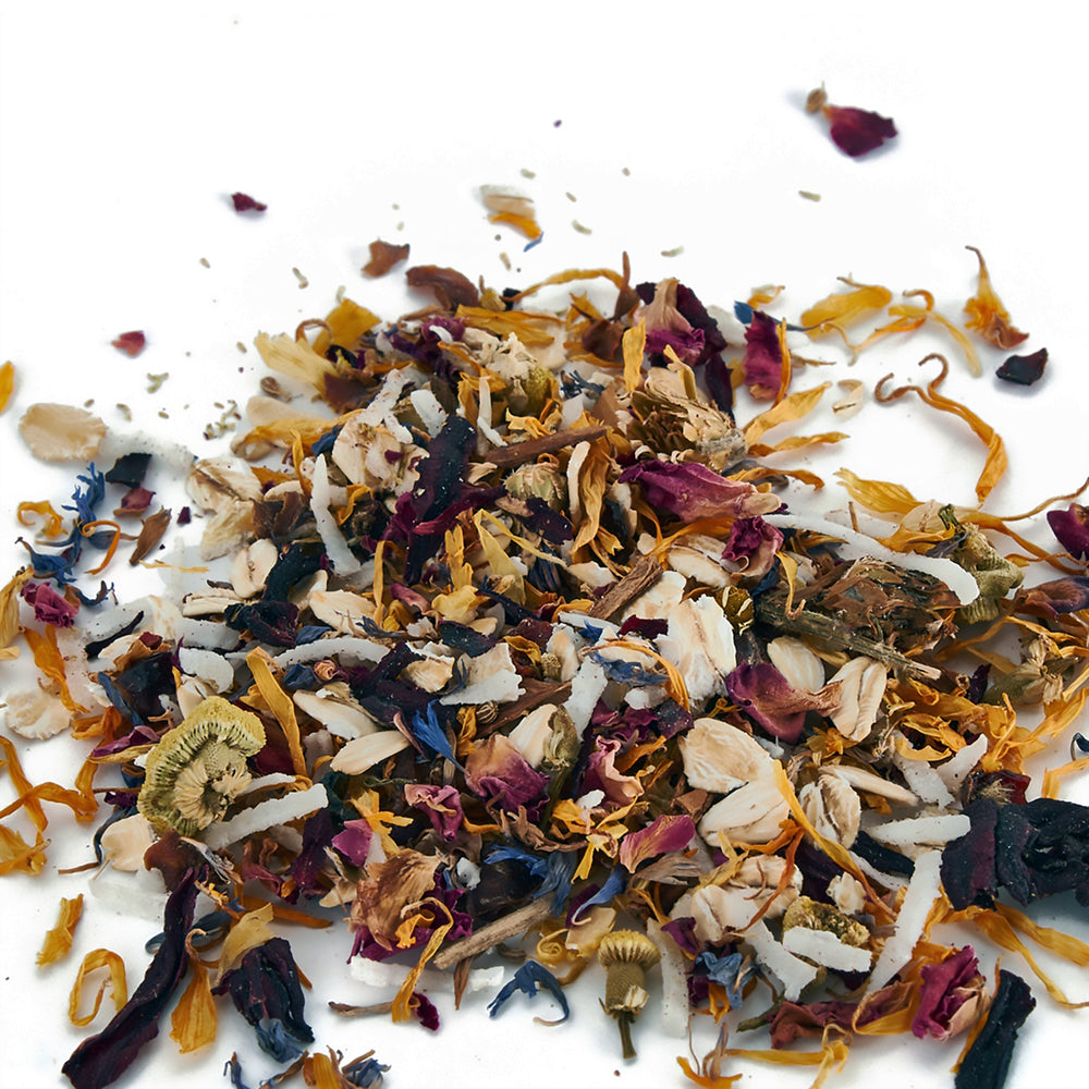 Aria Nature's Enrichment Soak & Sprout Blend - Dry Ingredients - Parrot Food Mix