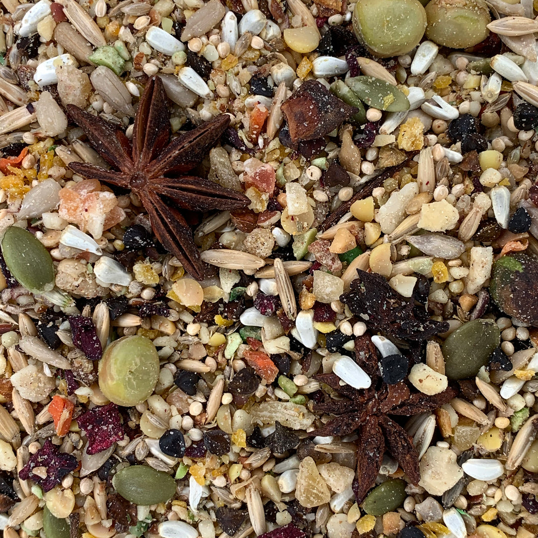 Goldenfeast South American Blend Conure & Cockatiel - 3lb
