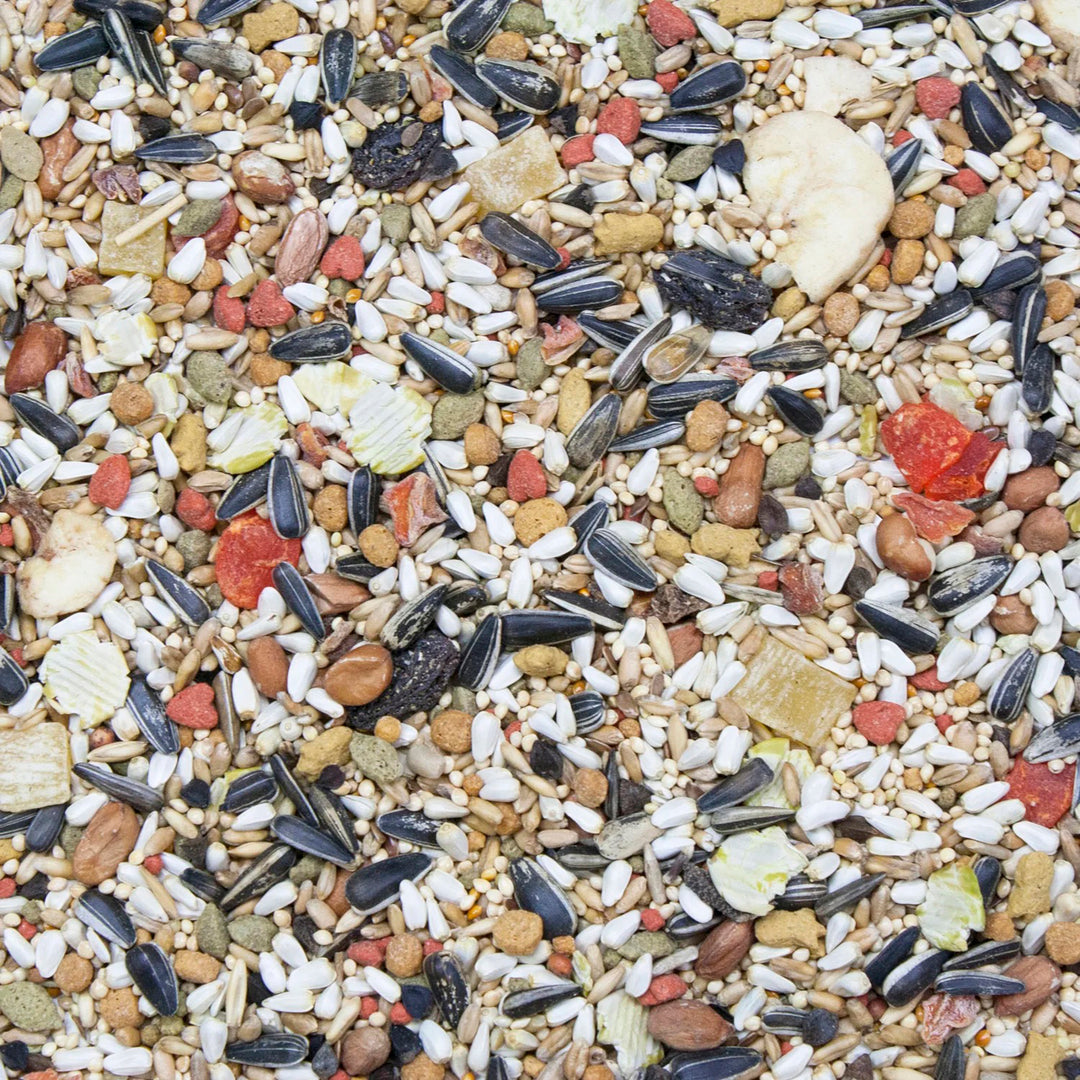 Higgins Vita Seed - Conure & Lovebird - 25lb