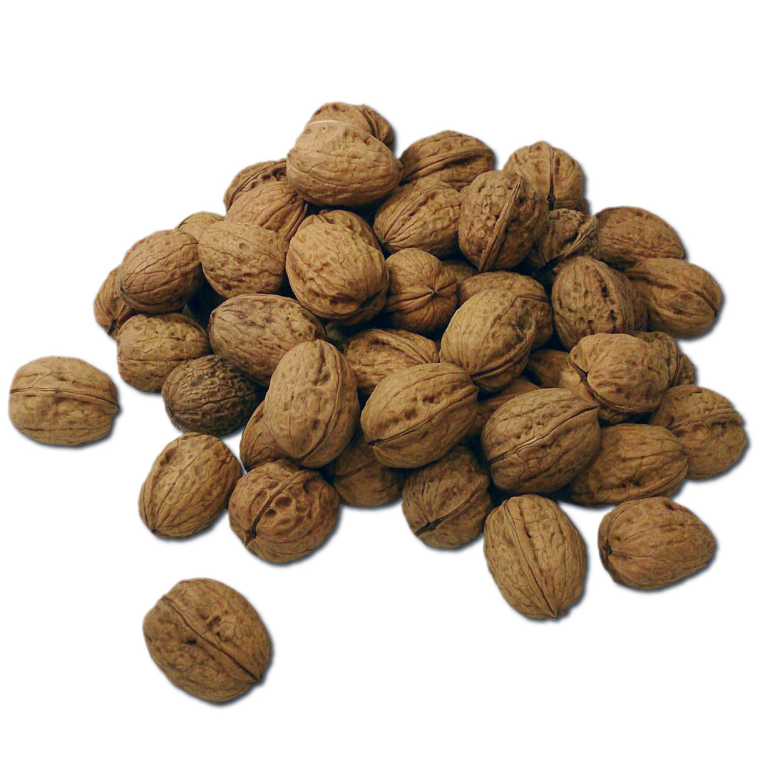 A pile of whole walnuts with one walnut placed separately in the lower left, isolated on a plain white background.