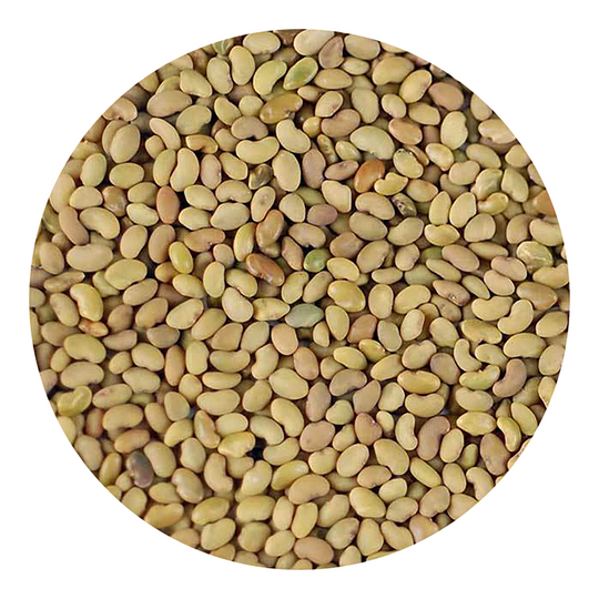 Handy Pantry Sprouting Seeds Alfalfa Organic - 4oz