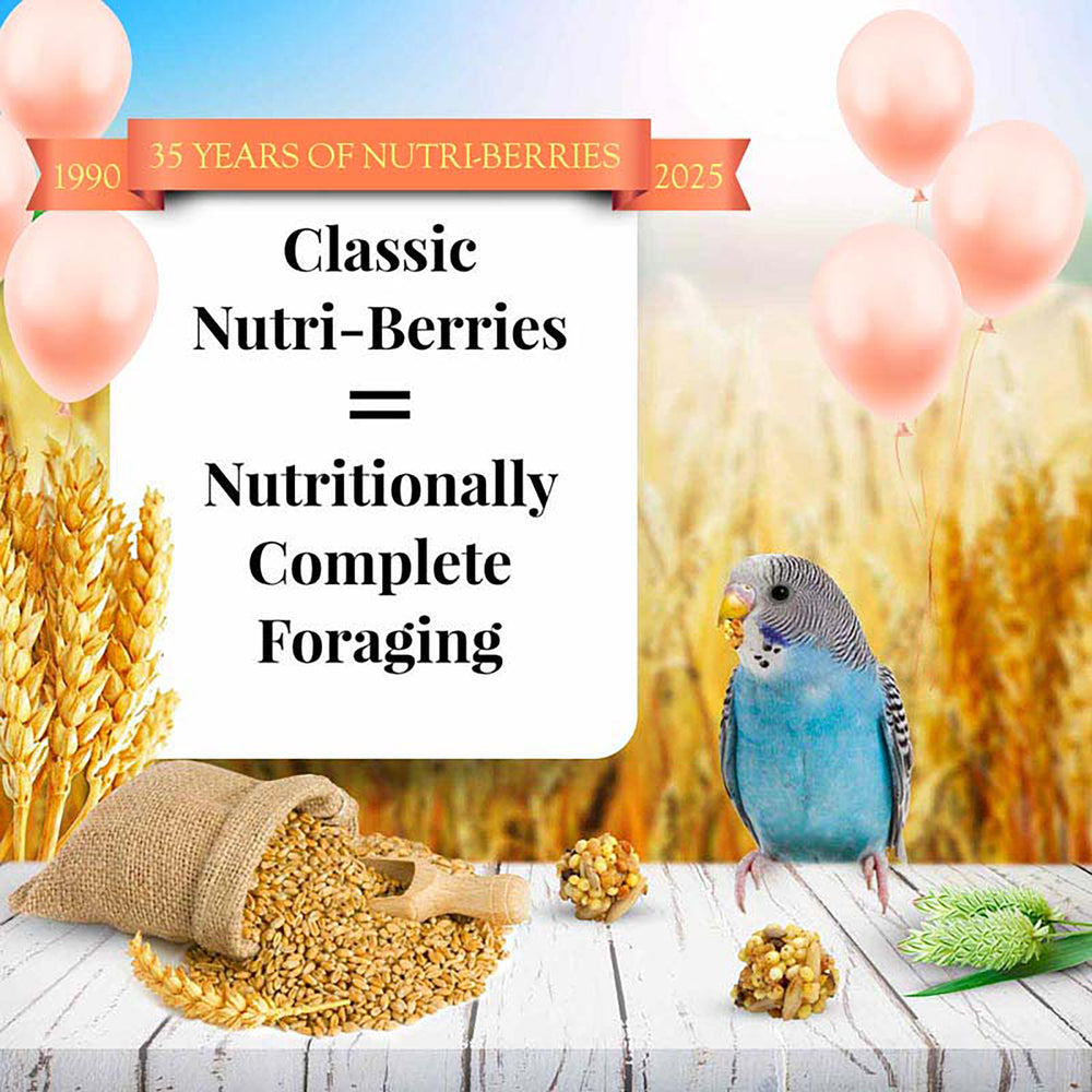 Lafeber's Classic Nutri-Berries for Parakeets - 10oz