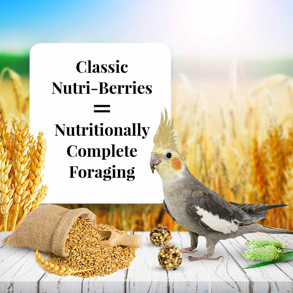 Lafeber's Classic Nutri-Berries for Cockatiels - 10oz