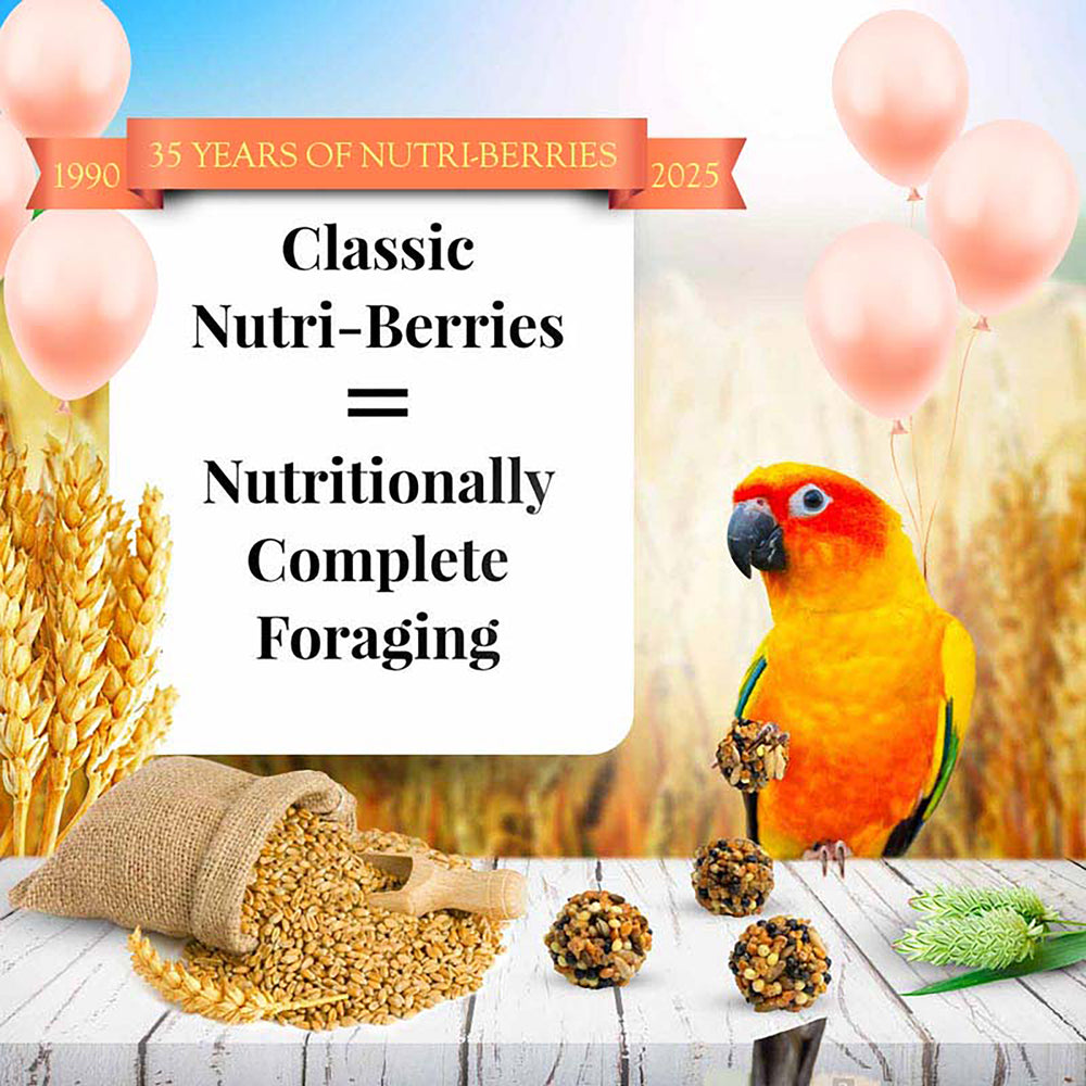 Lafeber's Classic Nutri-Berries for Conures - 10oz