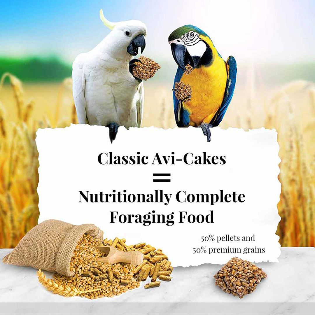 Lafeber's Classic Avi-Cakes for Macaws & Cockatoos - 1lb