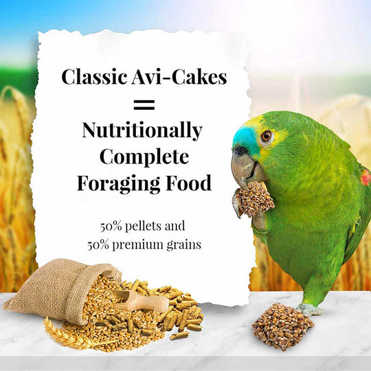 Lafeber's Classic Avi-Cakes for Parrots - 12oz