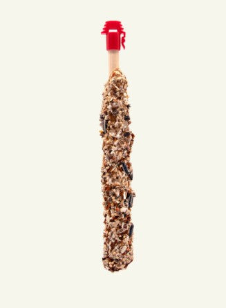 Higgins Sunburst Gourmet Treat Stick for Parrots Bananas & Coconut - 2 pack - 4.9oz