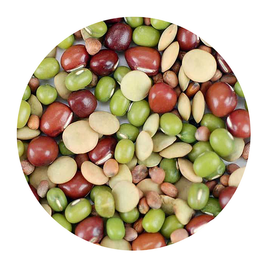 Handy Pantry Sprouting Seeds Bean Salad Mix Organic - 4oz