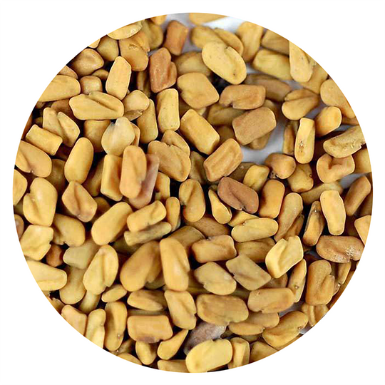 Handy Pantry Sprouting Seeds Fenugreek Organic - 4oz