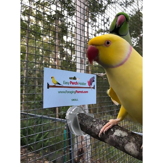 Foraging Parrot Easy Perch Holder Small - Perch-Holding Brackets for Bird Cages