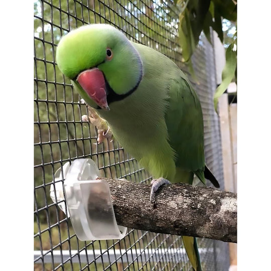 Foraging Parrot Easy Perch Holder Small - Perch-Holding Brackets for Bird Cages