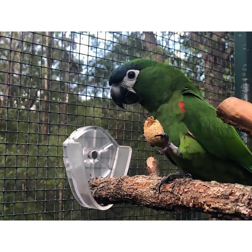 Foraging Parrot Easy Perch Holder Large - Perch-Holding Brackets for Bird Cages