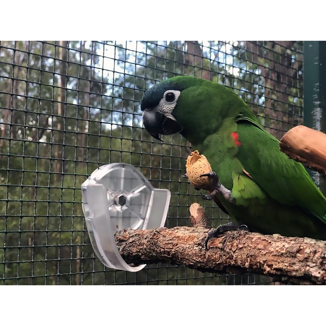 Foraging Parrot Easy Perch Holder Large - Perch-Holding Brackets for Bird Cages