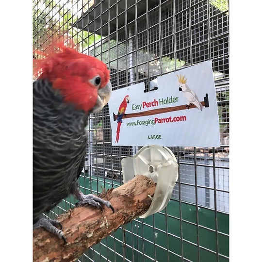 Foraging Parrot Easy Perch Holder Large - Perch-Holding Brackets for Bird Cages