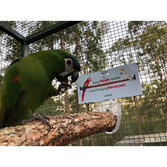 Foraging Parrot Easy Perch Holder Large - Perch-Holding Brackets for Bird Cages